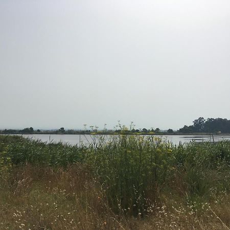אובאר Moradia Proxima Da Praia Do Areinho, Na Ria, E Praia Dos Marretas מראה חיצוני תמונה